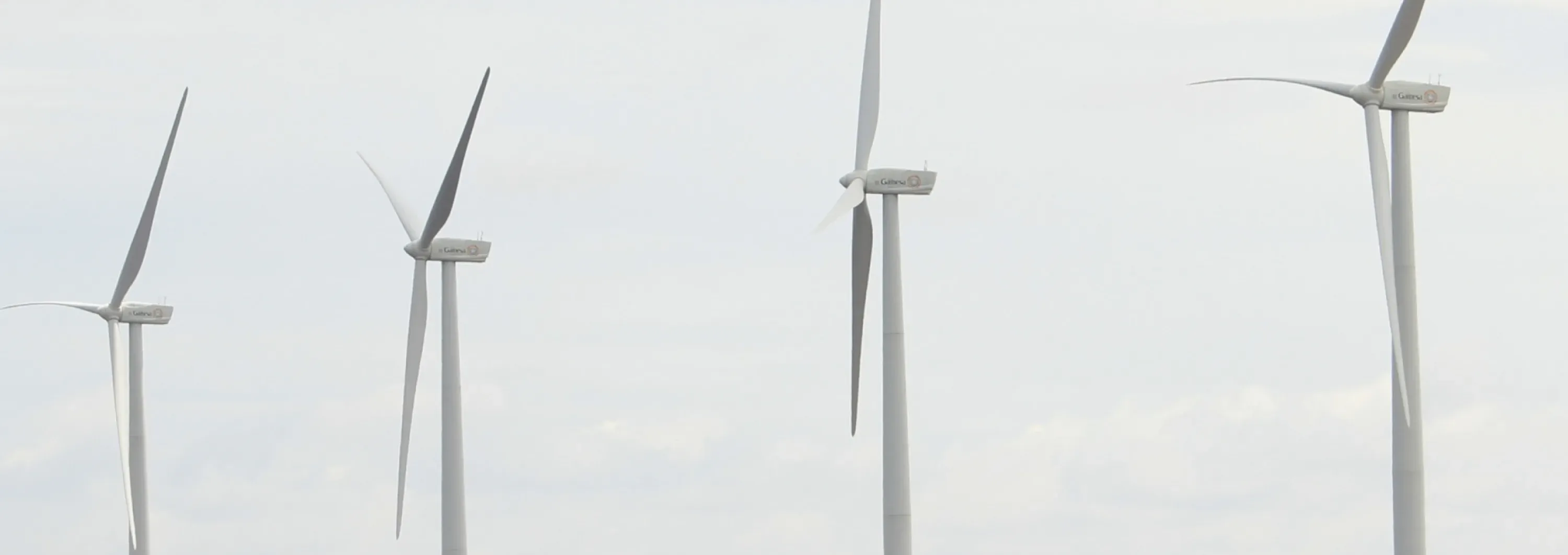 Parque Eólico