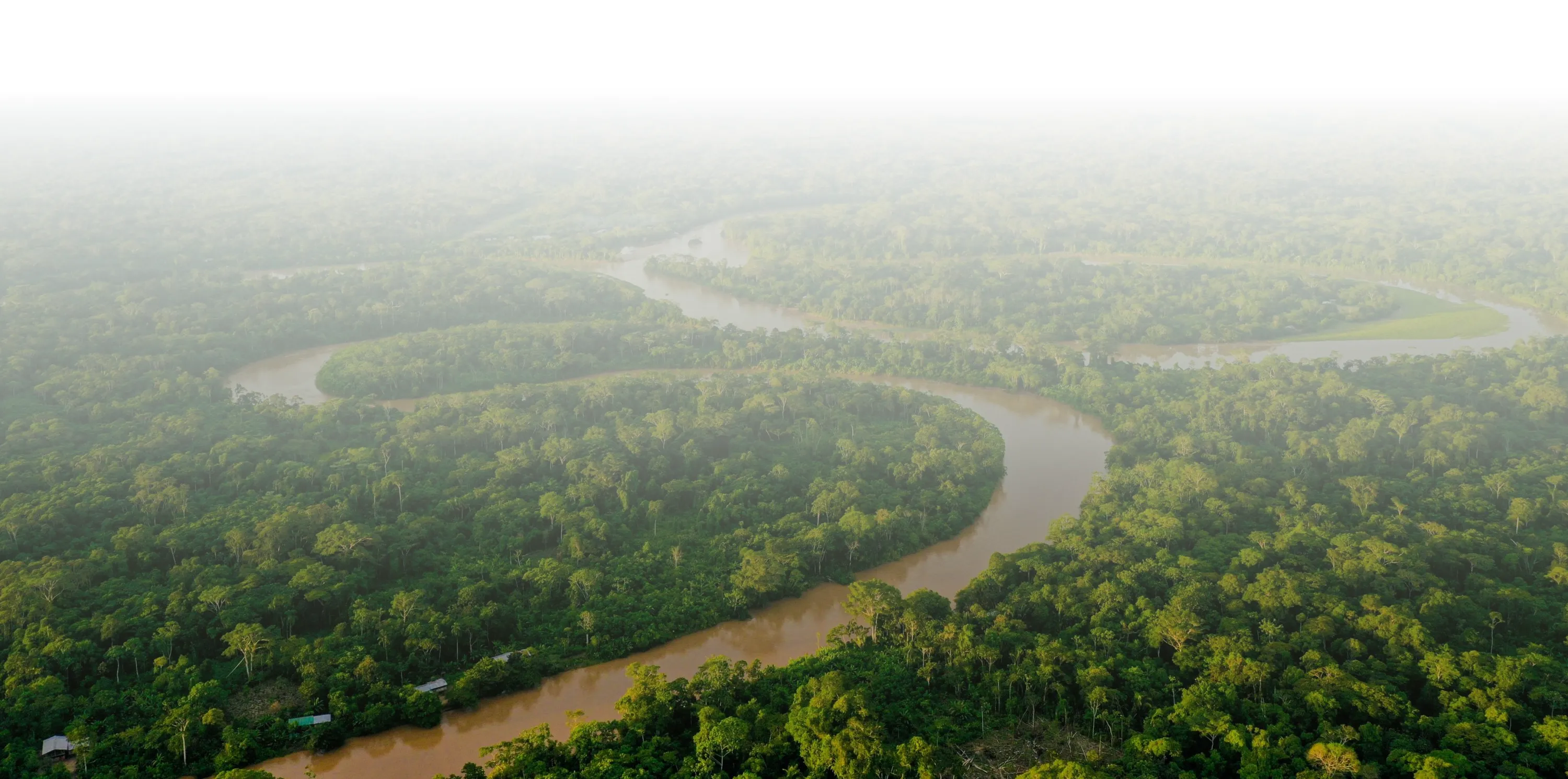 Selva Amazonas